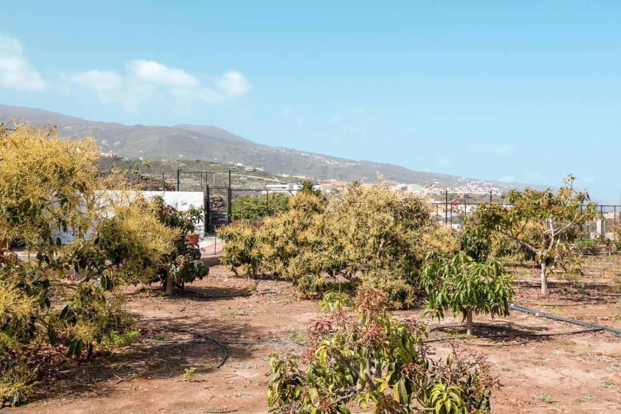 Casa Quemahierro 2 Villa Icod de los Vinos Kültér fotó